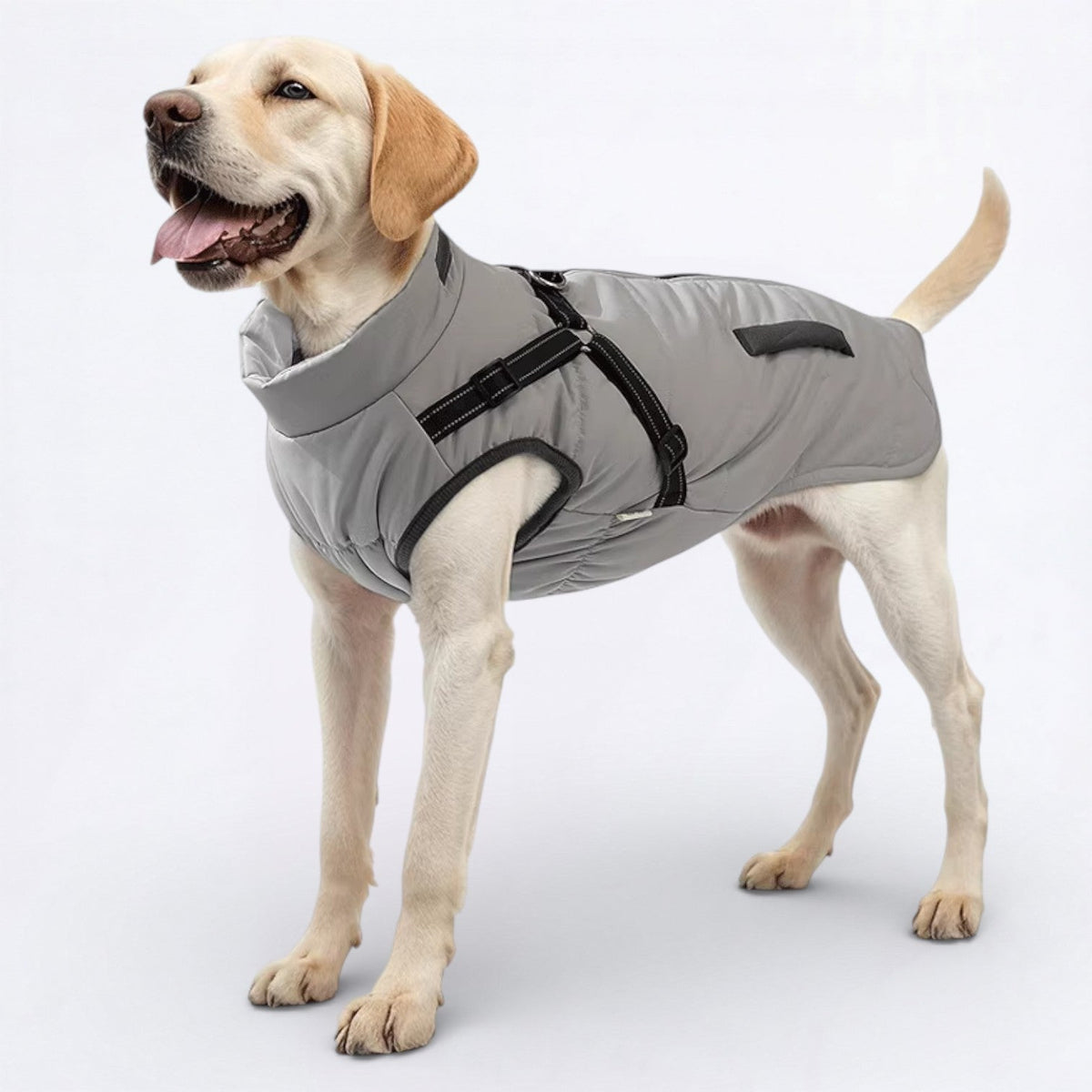 Warm-Fleece-Lined-Dog-Jacket.jpg
