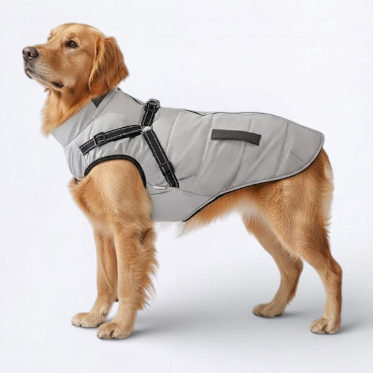 Warm-Fleece-Lined-Dog-Jacket.jpg