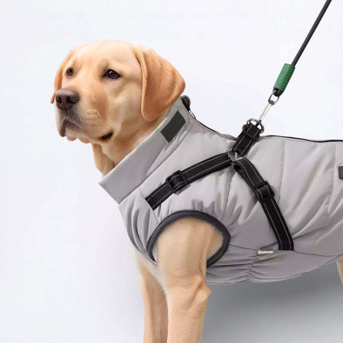 Warm-Fleece-Lined-Dog-Jacket.jpg