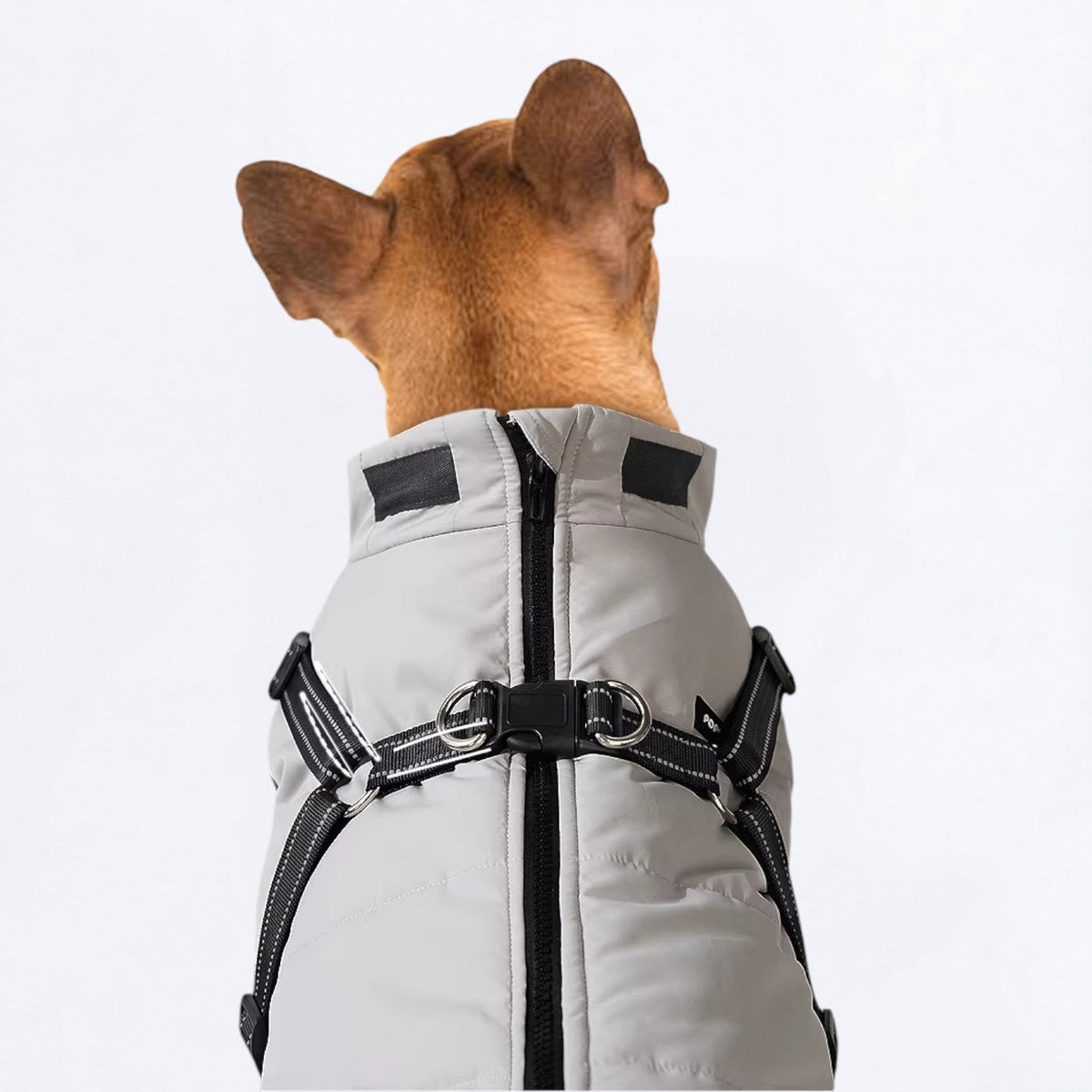 Warm-Fleece-Lined-Dog-Jacket.jpg