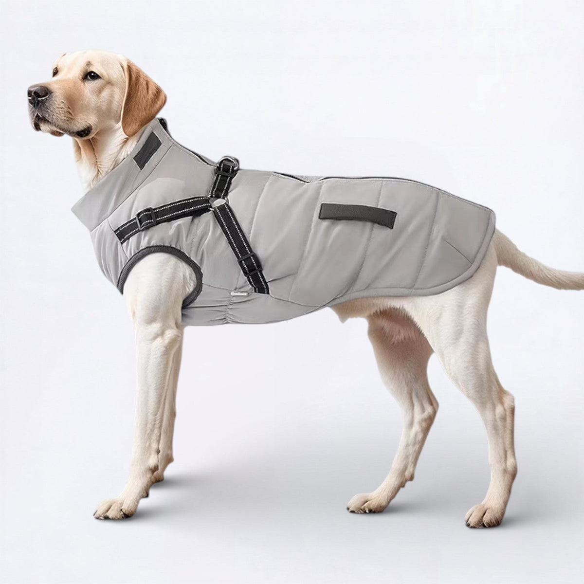 Warm-Fleece-Lined-Dog-Jacket.jpg
