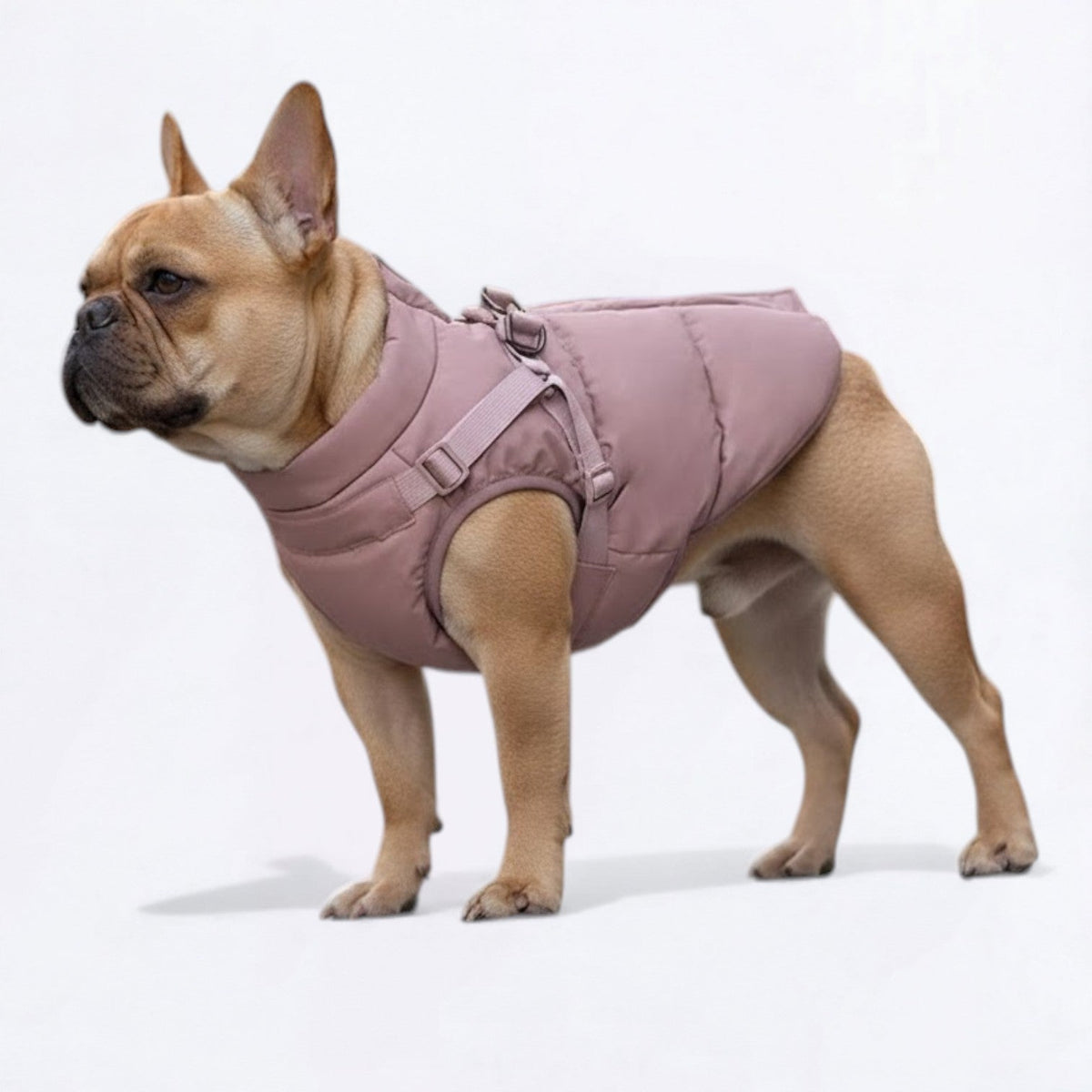 Warm-Winter-Dog-Harness-Jacket.jpg