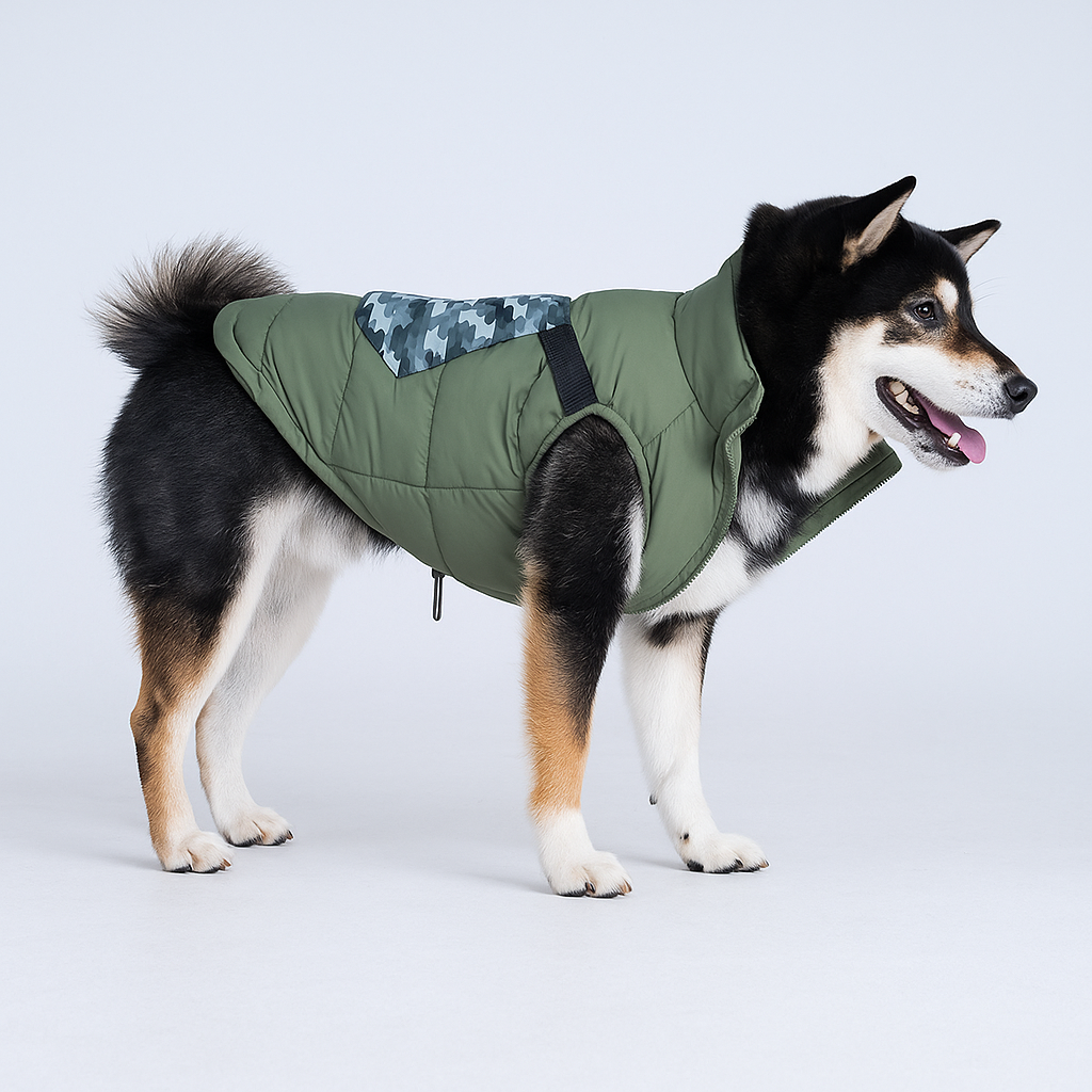 Dog wearing a waterproof jacket with pockets