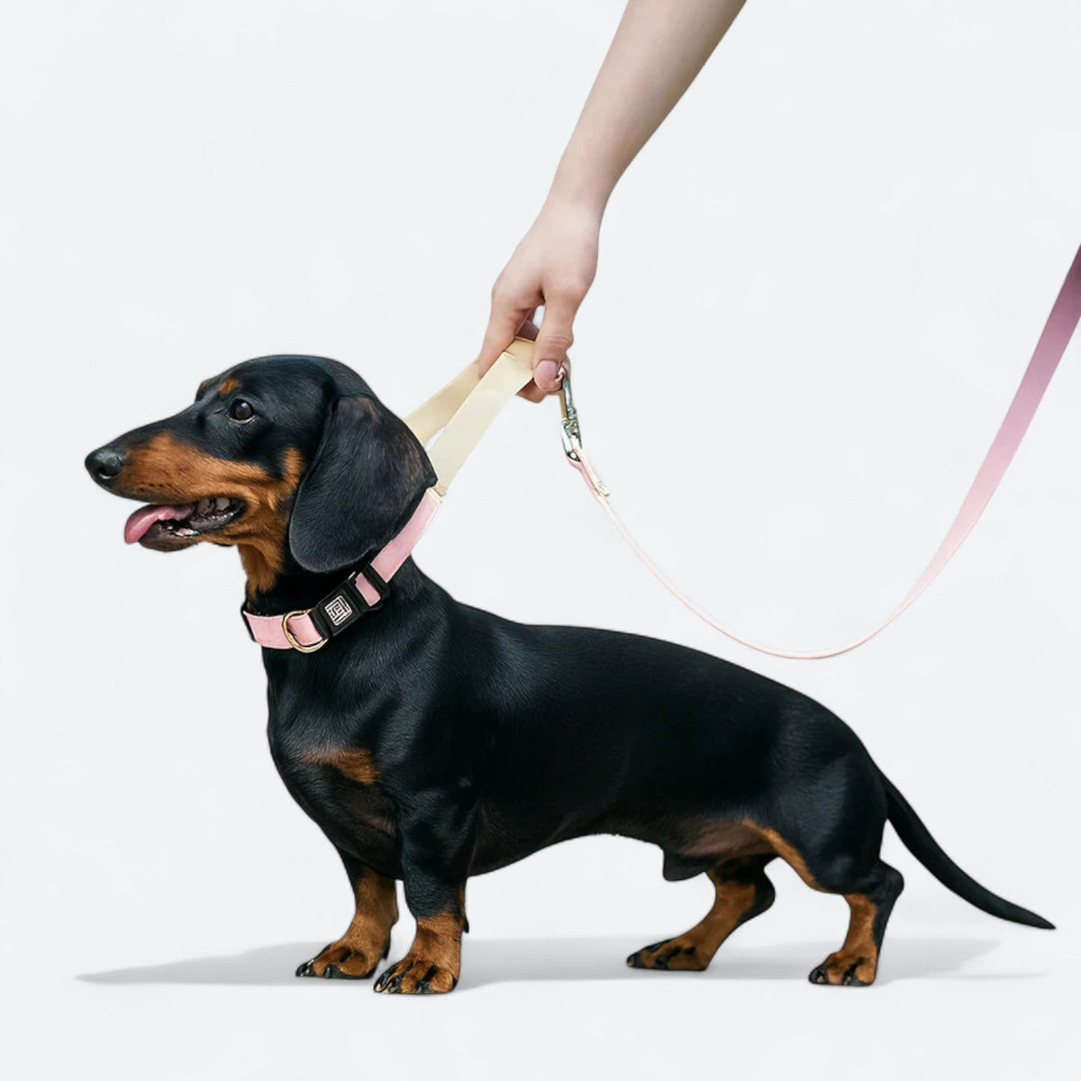 Waterproof-PVC-Dog-Collar-Leash-Set.jpg