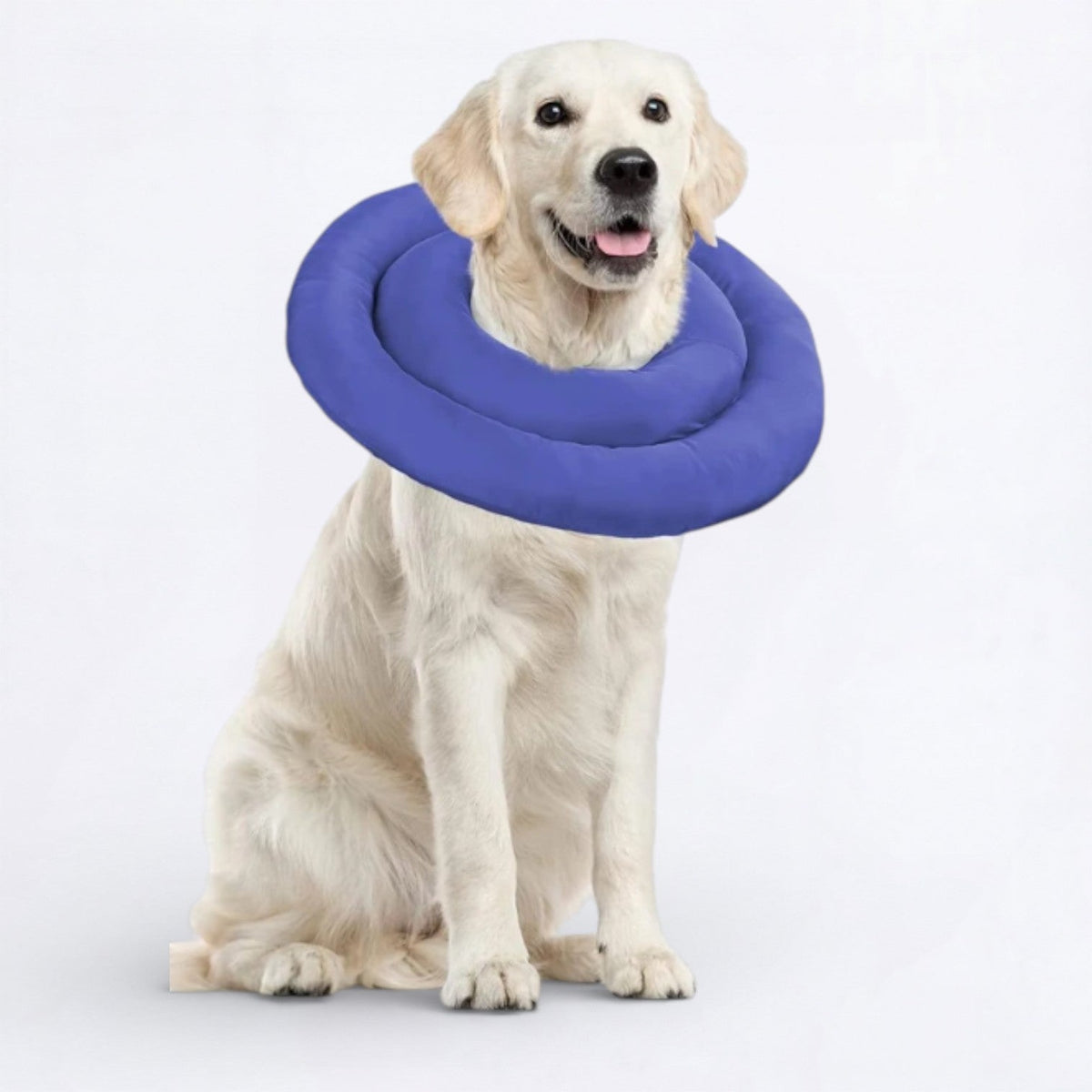 Waterproof-Recovery-Dog-Neck-Brace.jpg