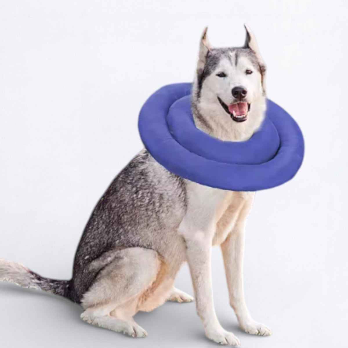 Waterproof-Recovery-Dog-Neck-Brace.jpg