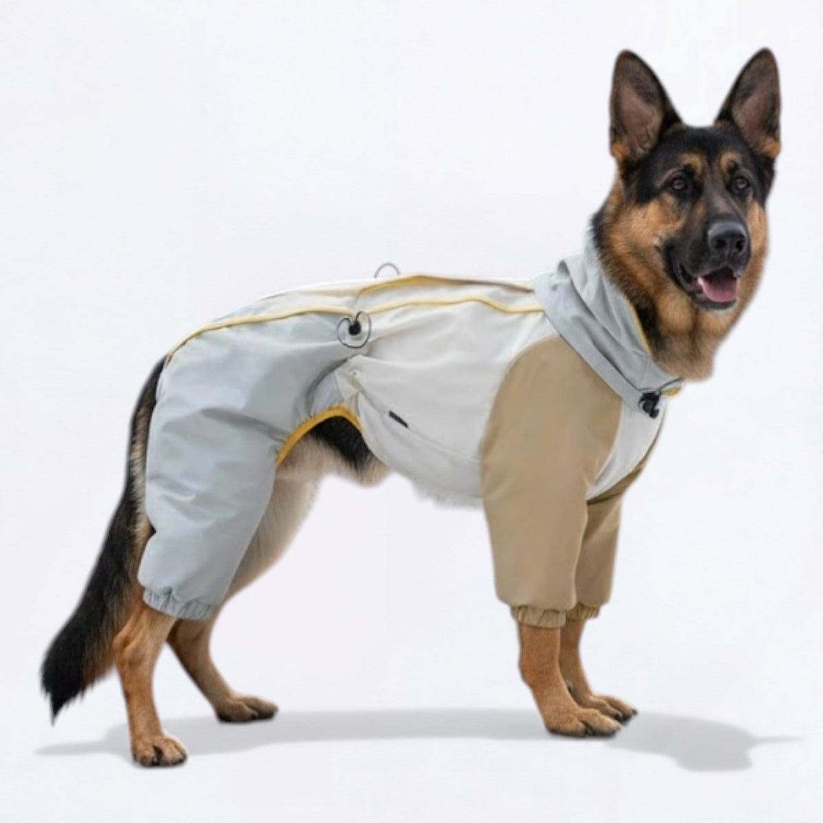 Windproof-Full-Body-Dog-Rain-Jacket.jpg