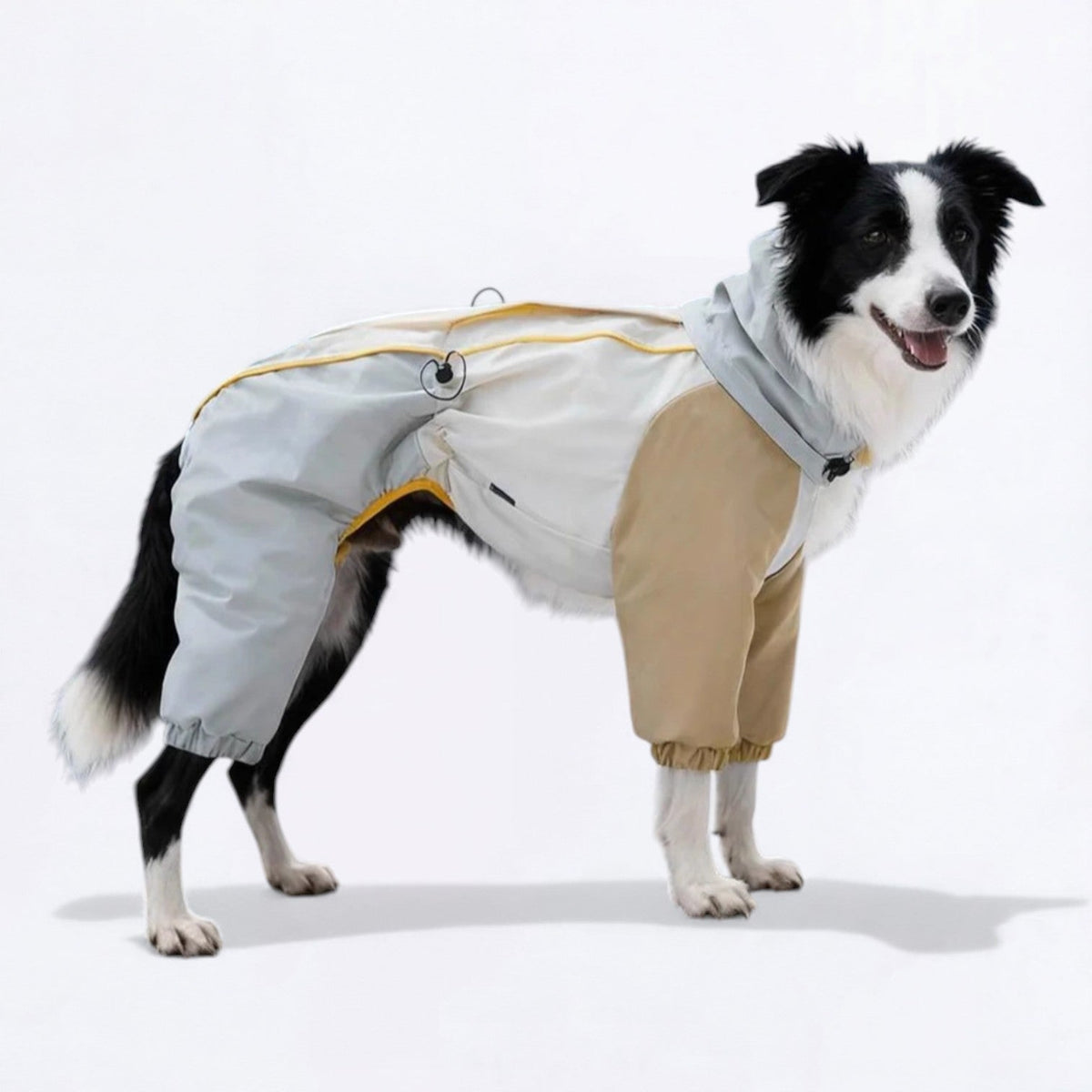 Windproof-Full-Body-Dog-Rain-Jacket.jpg