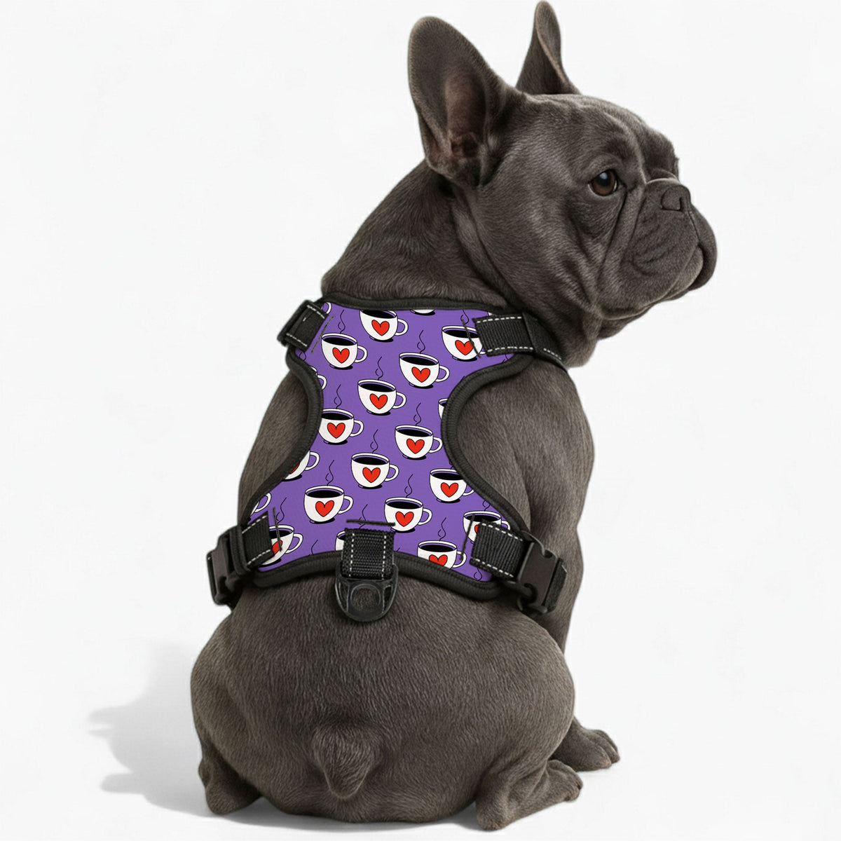 Winston - NO-PULL Dog Harness