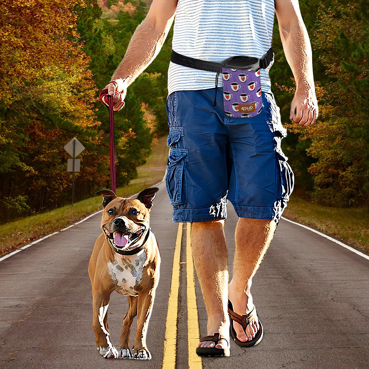 Winston dog training treat bags,
