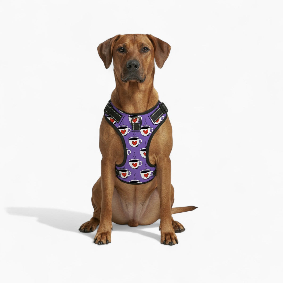 'Winston' no-pull Dog Harness leash