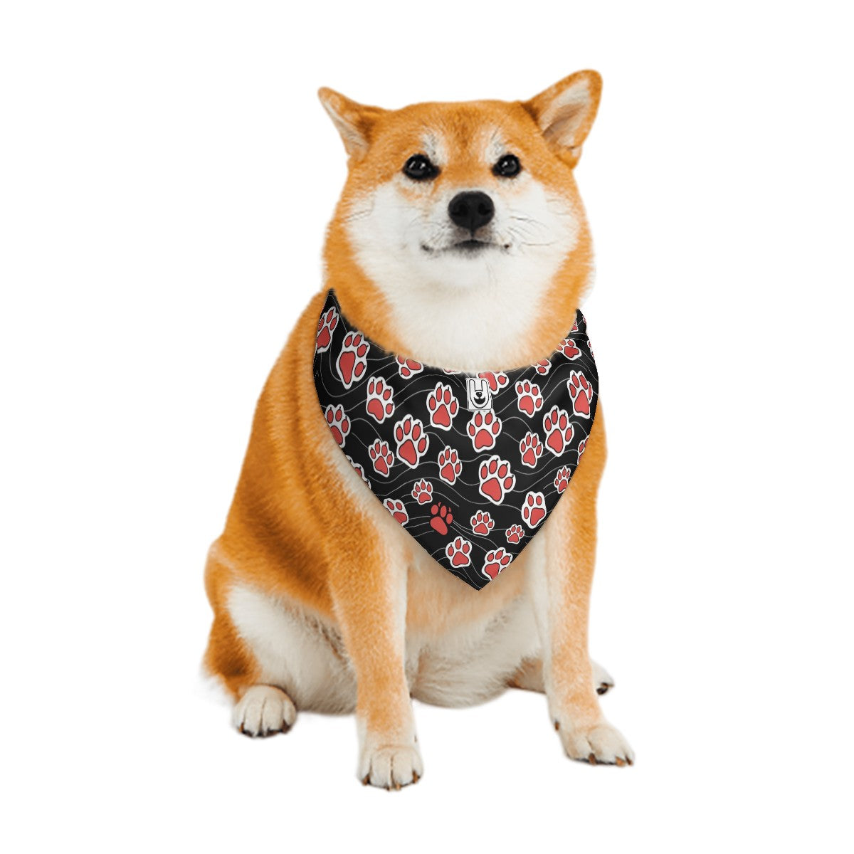 Iggy Bandanas Double Sided