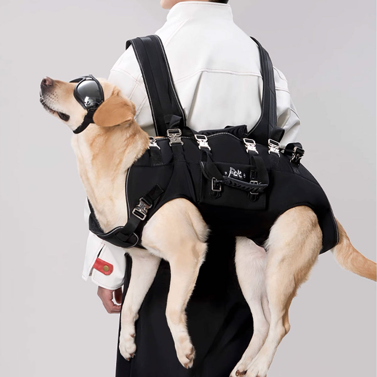 backpack to carry dog​