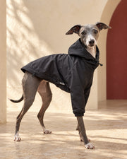 Black Hooded Iggy Anorak in Black, worn by an Italian Greyhound