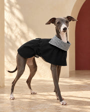 Black Iggy Cape with Check Collar in Black, worn by an Italian Greyhound