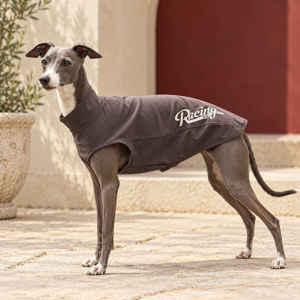 Brown Sleeveless Iggy Summer Top in Dark Brown, worn by an Italian Greyhound