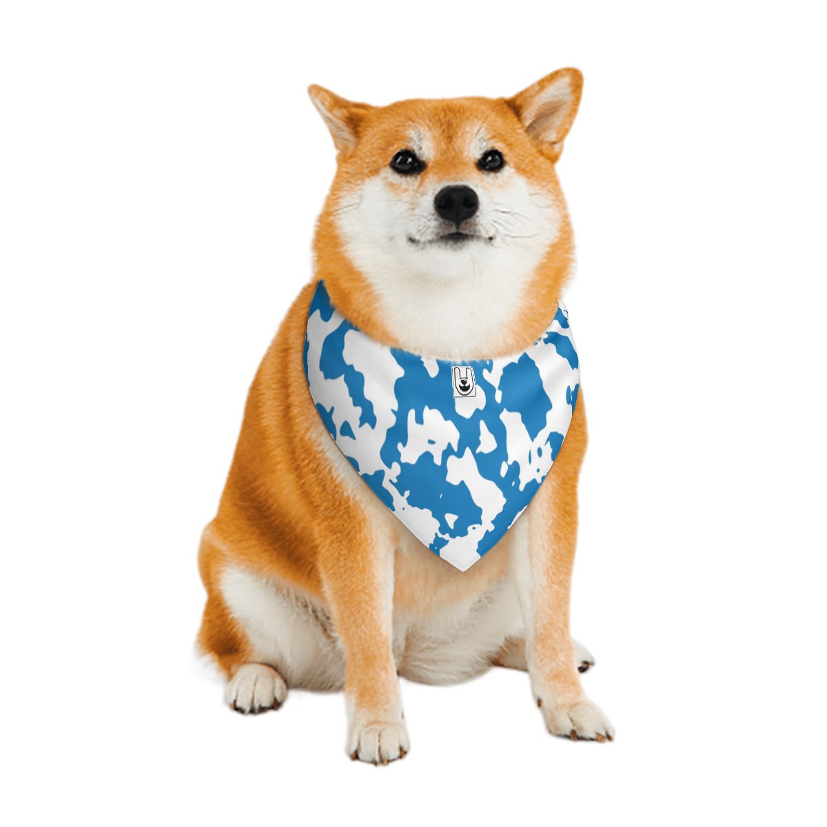 Iggy Bandanas Double Sided