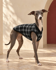 Check V-Neck Iggy Vest in Black, worn by an Italian Greyhound