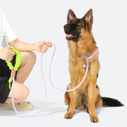 Adjustable Cloud Bubble Iggy Leash