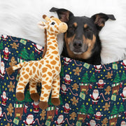 Frankie - Cozy Iggy Blanket