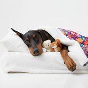 Mia - Cozy Iggy Blanket