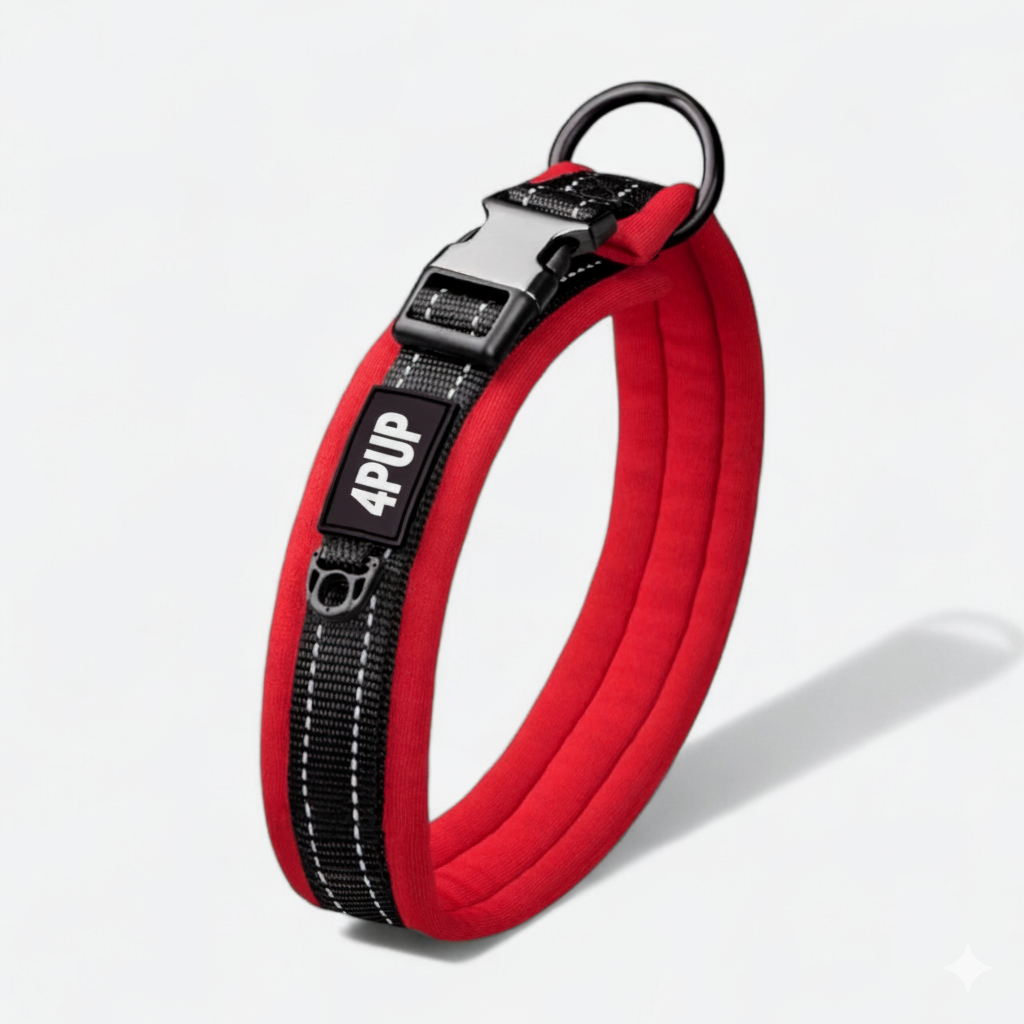 Reflective soft padded dog collar