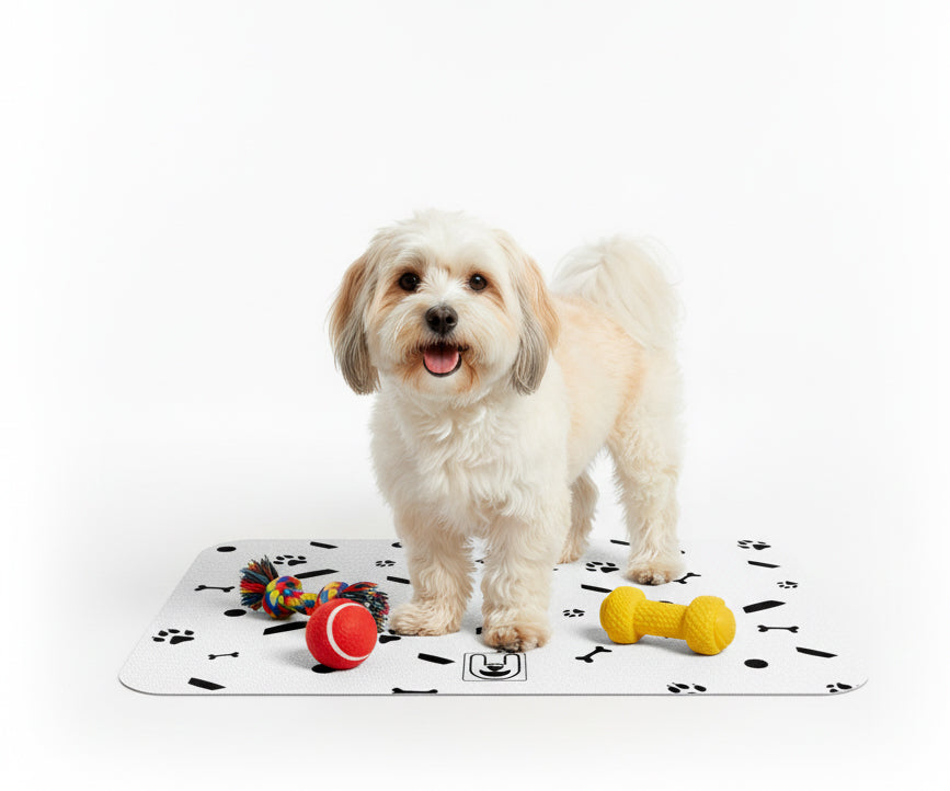 Vito - Iggy Food Mat