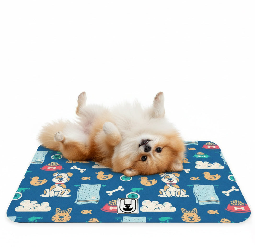 Onyx - Iggy Food Mat