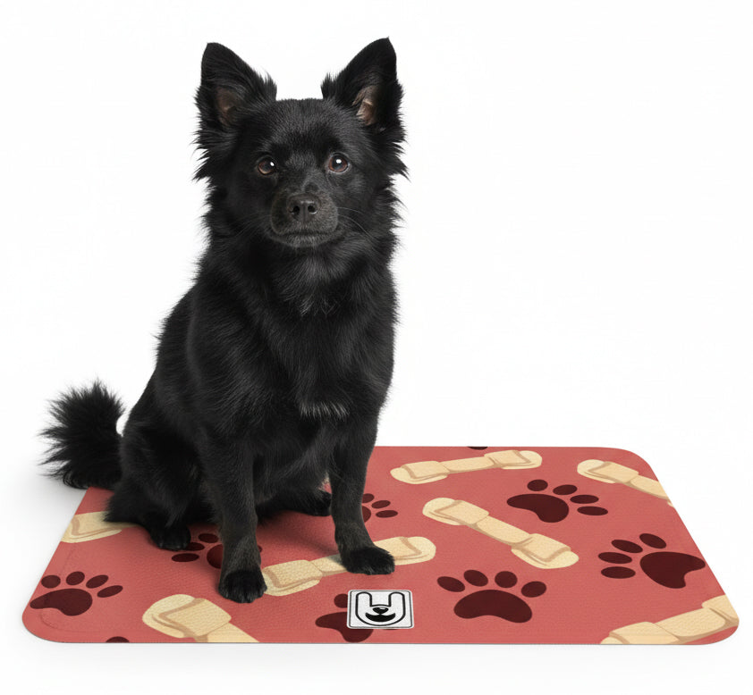 Lane - Iggy Food Mat