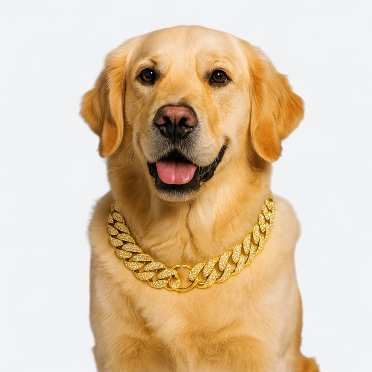 Diamond Inlay Iggy Collar Necklace