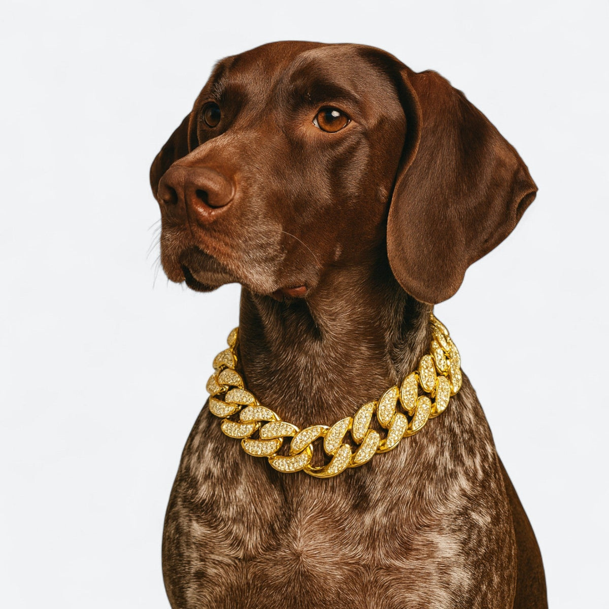 Diamond inlay dog collar necklace
