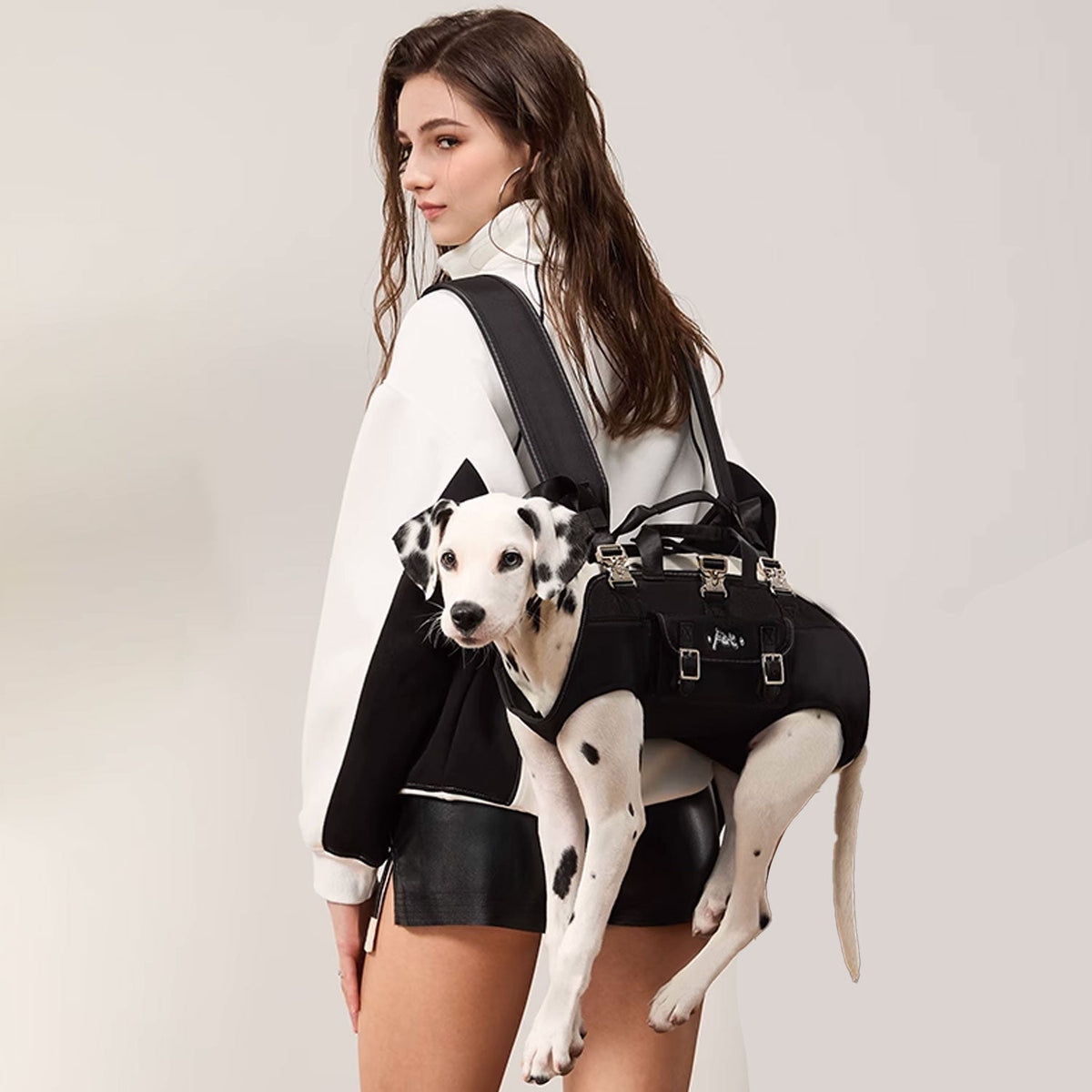 dog backpack carrier for large dogs​