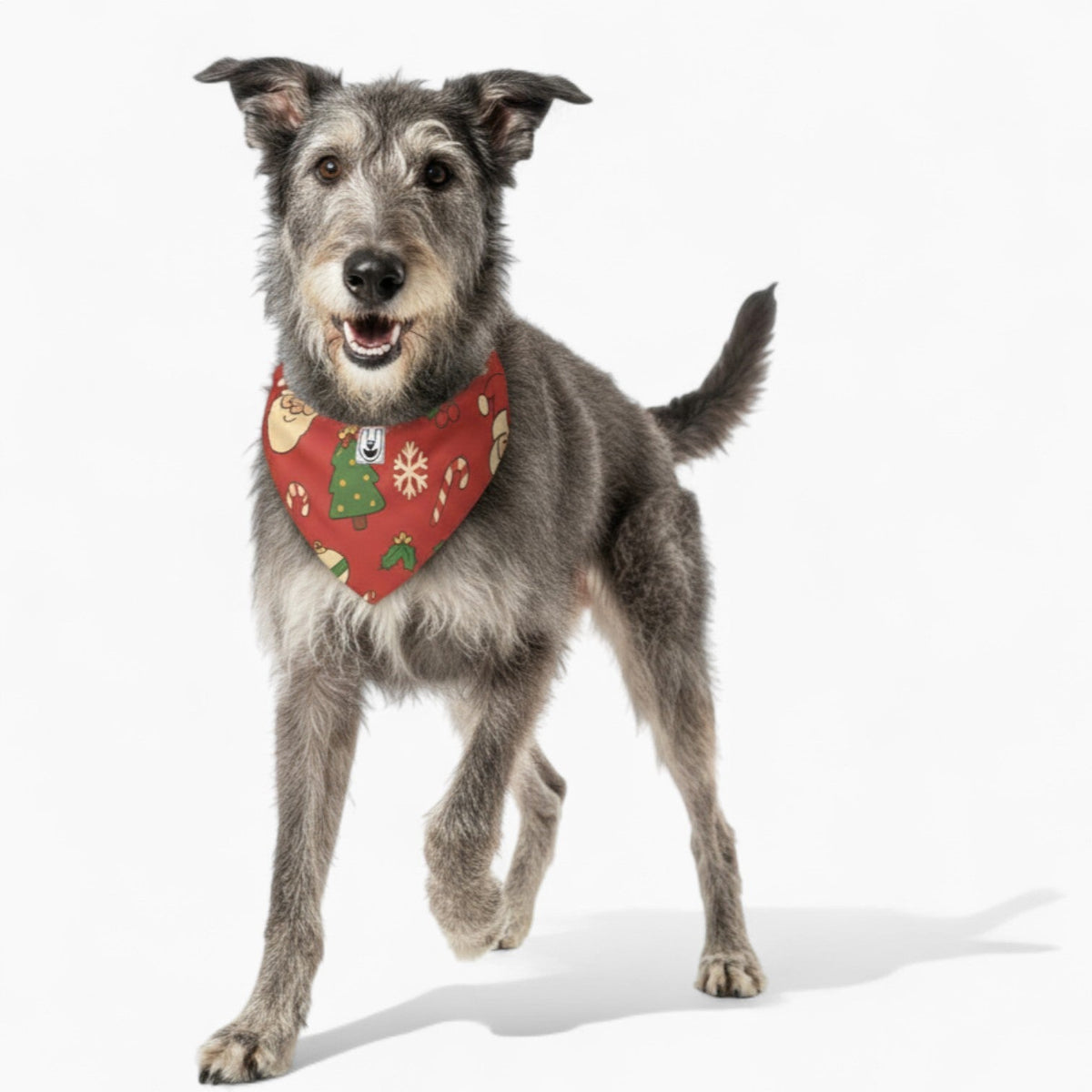 Gustav- Stylish Iggy Bandana