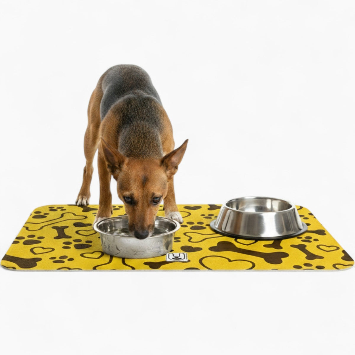 Ollie - Iggy Food Mat