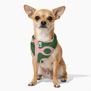 Atlas - Stylish Iggy Bandana