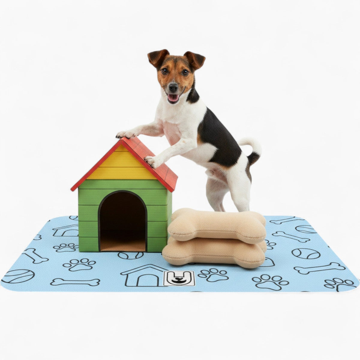 Coco - Iggy Food Mat