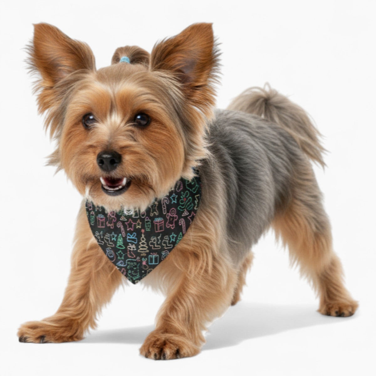 Skye - Stylish Iggy Bandana