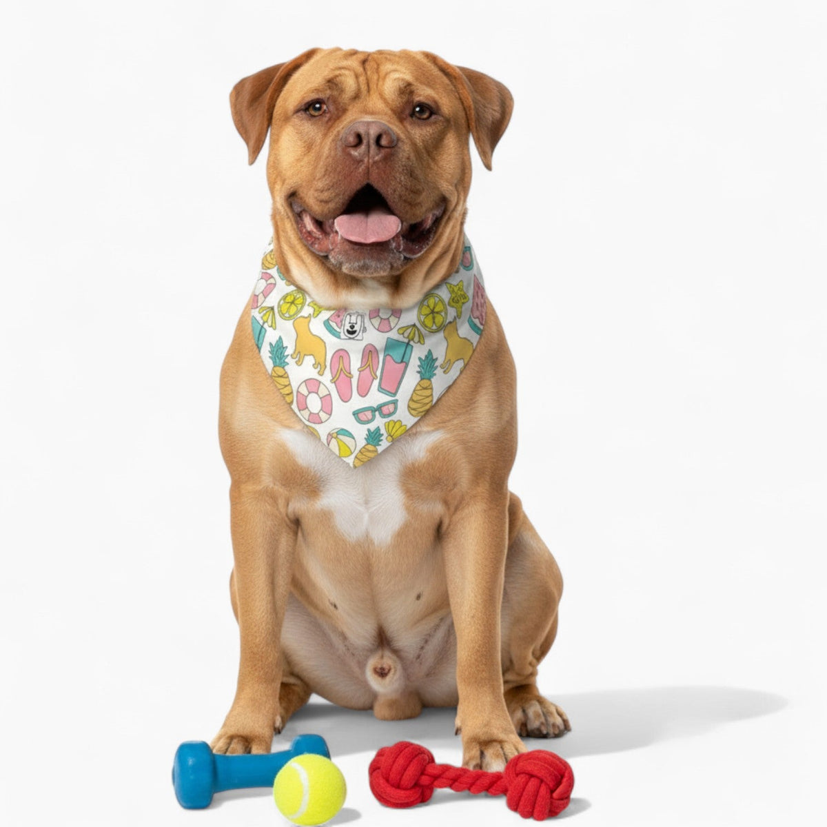 Basil - Stylish Iggy Bandana