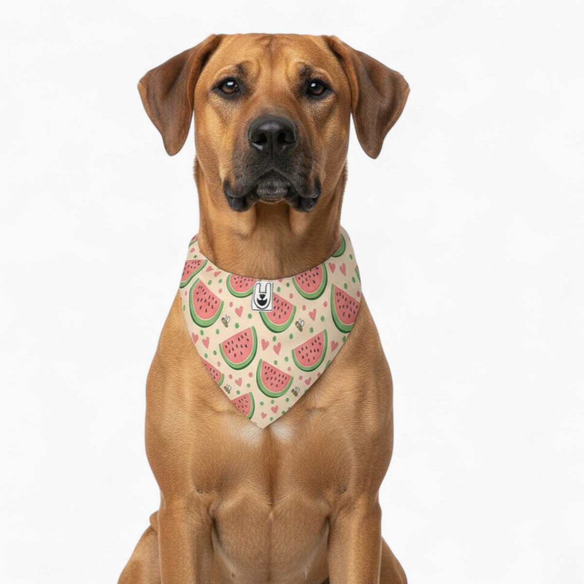 Klara - Stylish Iggy Bandana