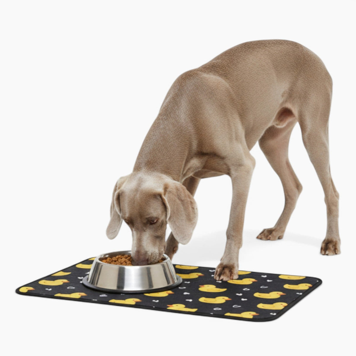 Gracie - Iggy Food Mat