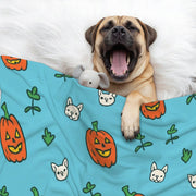 Cloey - Cozy Iggy Blanket