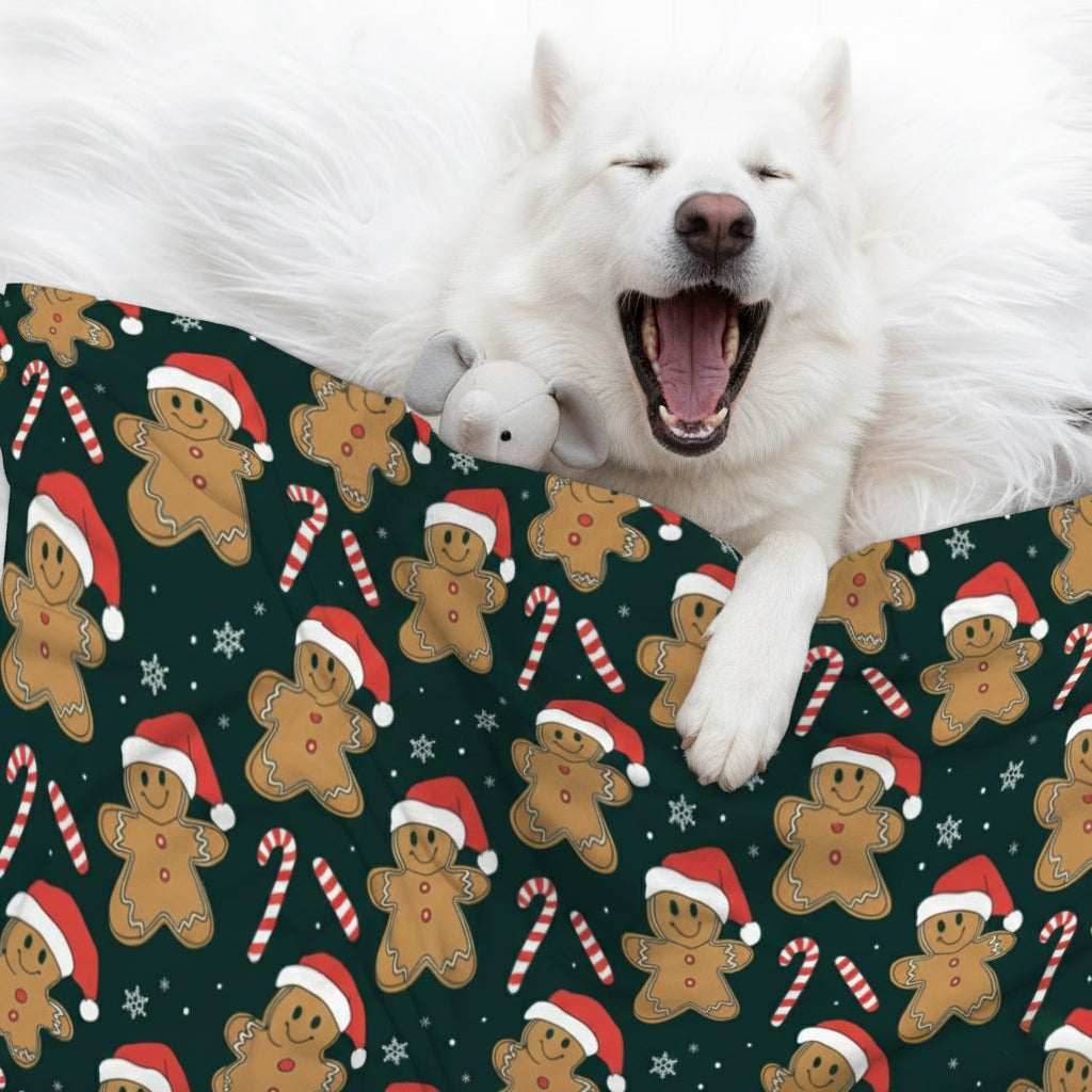 Roxy - Cozy Iggy Blanket