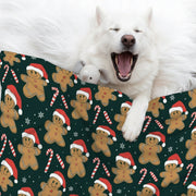 Roxy - Cozy Iggy Blanket