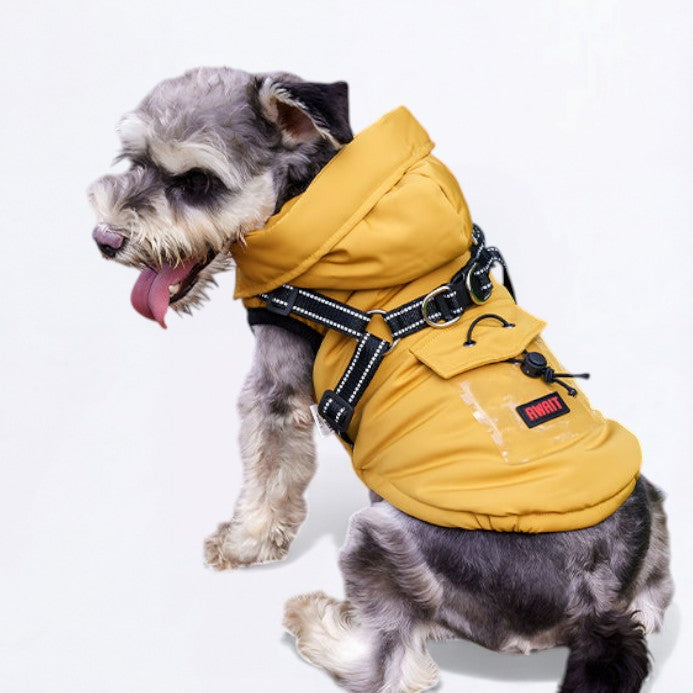 Leash-Integrated Winter Iggy Jacket