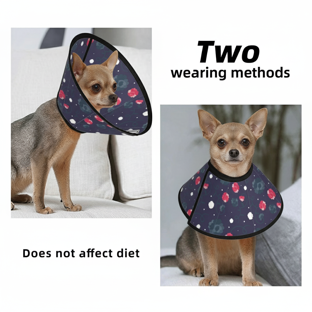 dog_cone_and_elizabithan_collar