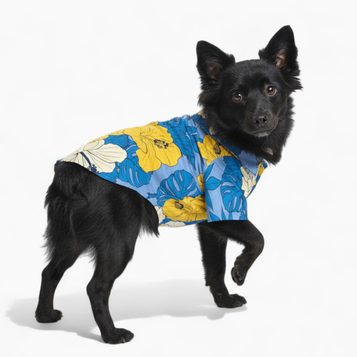 Nico - Iggy Hawaiian Shirt