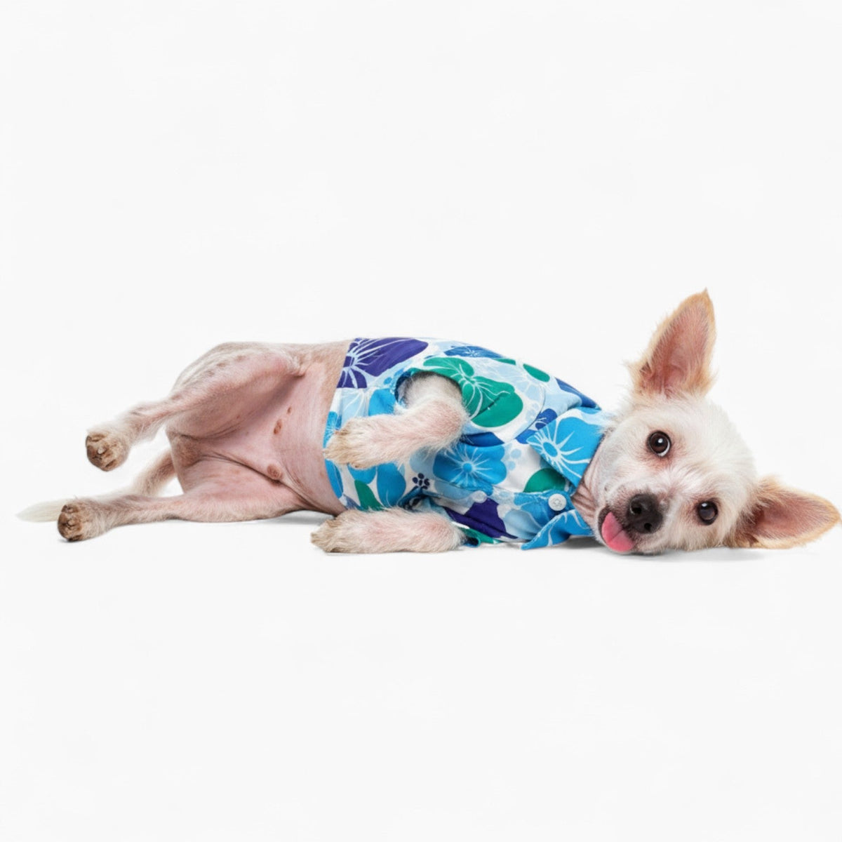 Elsa - Iggy Hawaiian Shirt