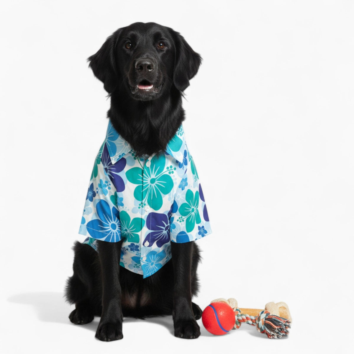 Elsa - Iggy Hawaiian Shirt