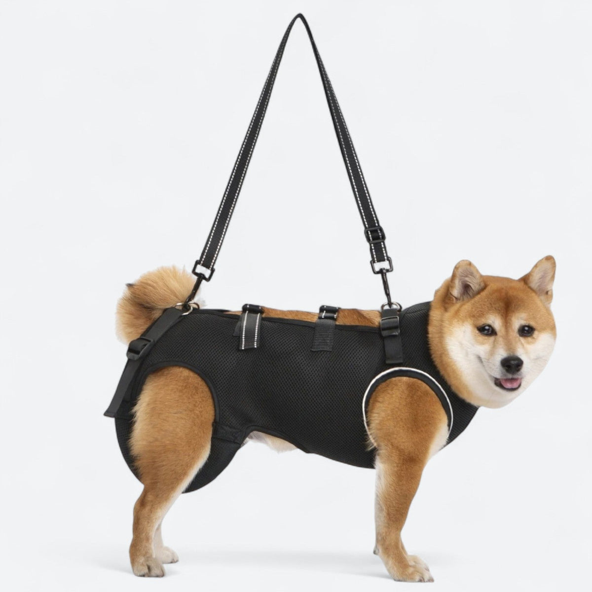 dog harness with handle for lifting