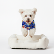 Biscuit - Iggy Hawaiian Shirt